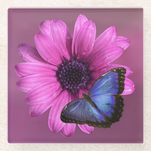 Daisy und Butterfly Glasuntersetzer (Vorderseite)