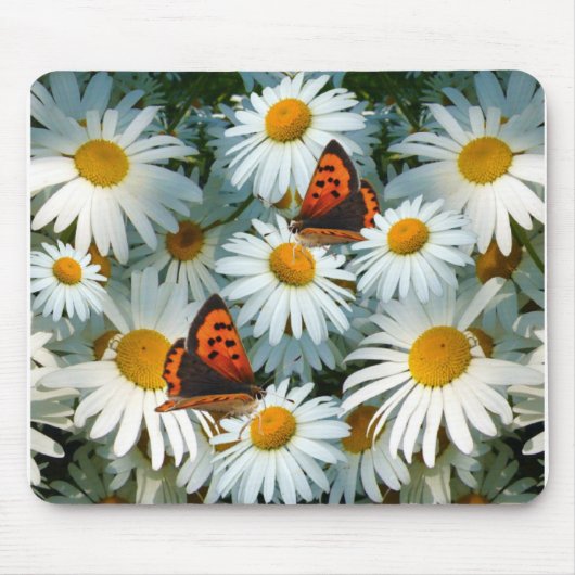 DAISY UND BUTTERFLY ~ Mousepad (Vorne)