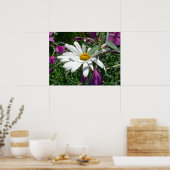 Daisy und Fireweed Poster (Küche)