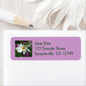 Daisy und Fireweed-Wildblume (Insitu)