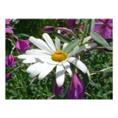 Daisy und Fireweed-Wildblume Fotodruck (Vorne)