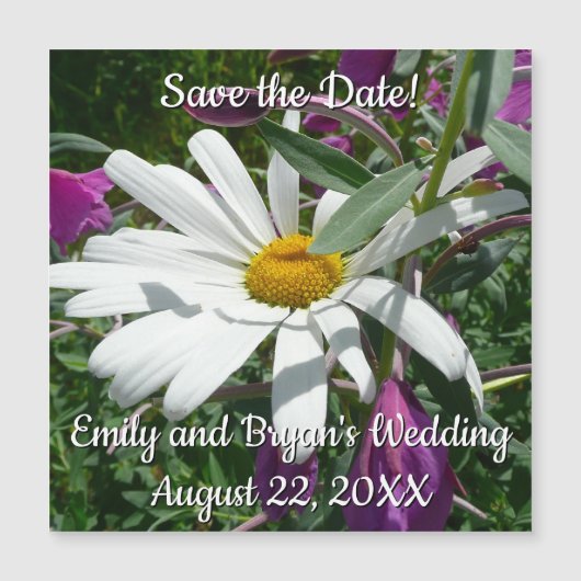 Daisy und Fireweed-Wildblume Magnetkarte (Vorderseite)