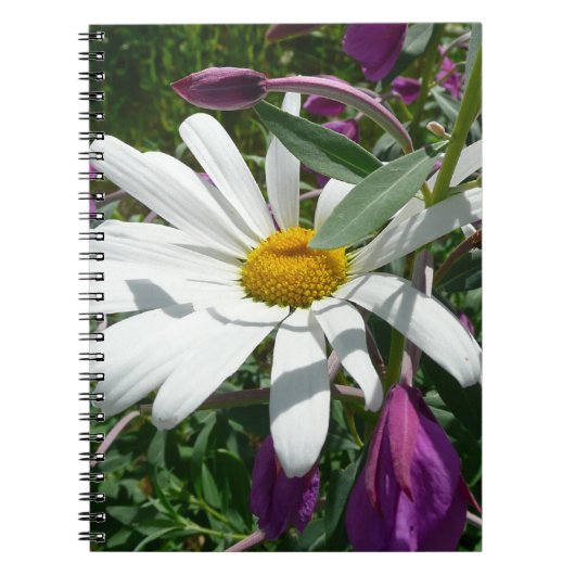 Daisy und Fireweed-Wildblume Notizblock (Vorderseite)