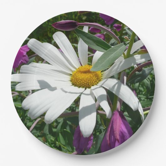 Daisy und Fireweed-Wildblume Pappteller (Vorderseite)