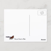 Daisy und Fireweed-Wildblume Postkarte (Rückseite)