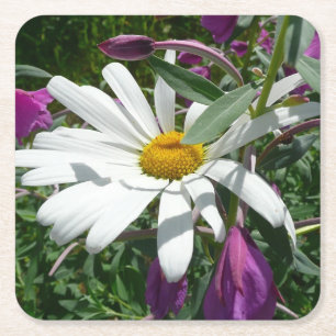 Daisy und Fireweed-Wildblume Rechteckiger Pappuntersetzer