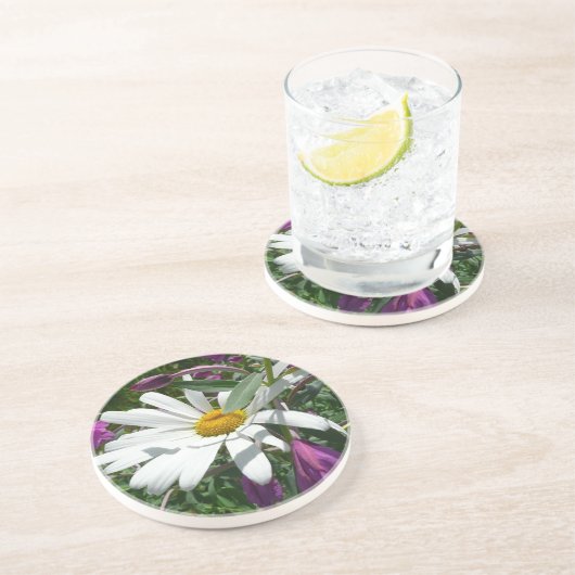 Daisy und Fireweed-Wildblume Sandstein Untersetzer (Seite)