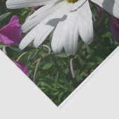 Daisy und Fireweed-Wildblume Seidenpapier (Ausschnitt)