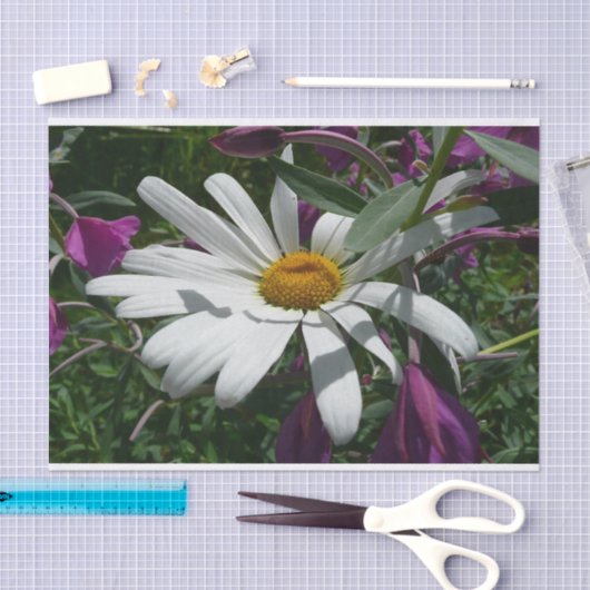 Daisy und Fireweed-Wildblume Seidenpapier (Handwerk)