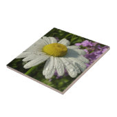 Daisy und Summer Lilac Wildblume Fliese (Seite)