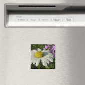 Daisy und Summer Lilac Wildblume Magnet (In Situ (Geschirrspüler))