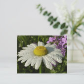 Daisy und Summer Lilac Wildblume Postkarte (Stehend Vorderseite)