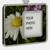 Daisy und Summer Lilac Wildblume Rahmen-Ornament Silber (Rechts)