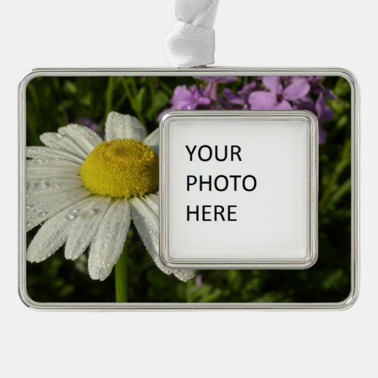 Daisy und Summer Lilac Wildblume Rahmen-Ornament Silber (Vorderseite)