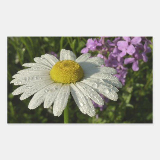 Daisy und Summer Lilac Wildblume Rechteckiger Aufkleber (Vorderseite)