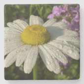 Daisy und Summer Lilac Wildblume Steinuntersetzer (Vorderseite)