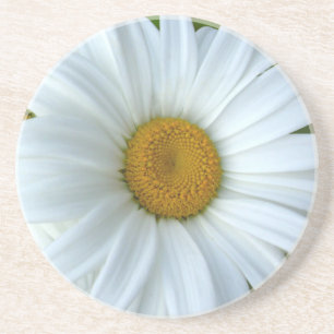 Daisy Untersetzer Wildblume Daisy Dekoration & Ges