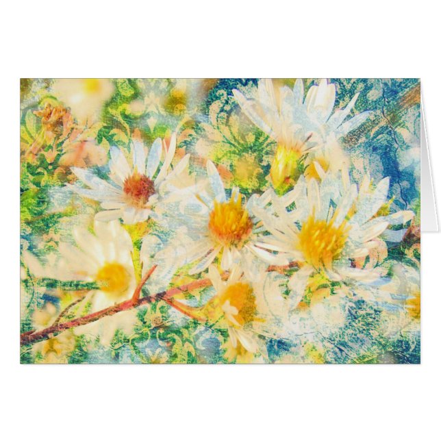 Daisy Wallpaper (Vorderseite (Horizontal))