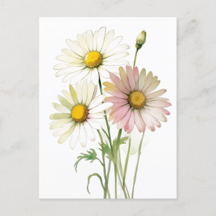 Daisy Watercolor Blume Moderne Beruflich Feiertagspostkarte