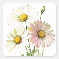 Daisy Watercolor Blume Moderne Beruflich