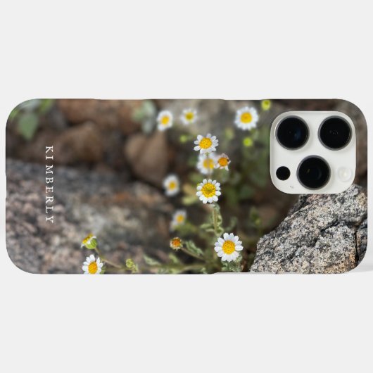 Daisy Wildblumen in Rocks Custom iPhone Case (Rückseite (Horizontal))