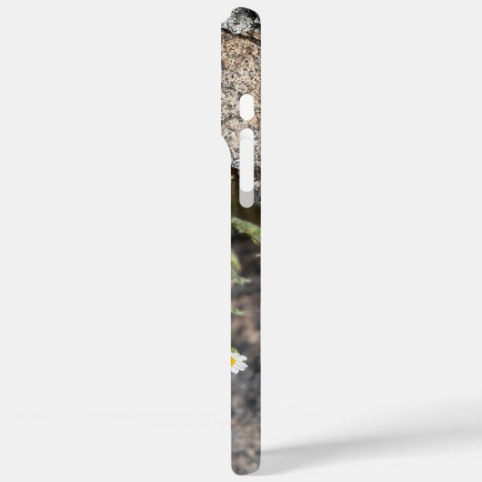 Daisy Wildblumen in Rocks Custom iPhone Case (Rückseite / Links)