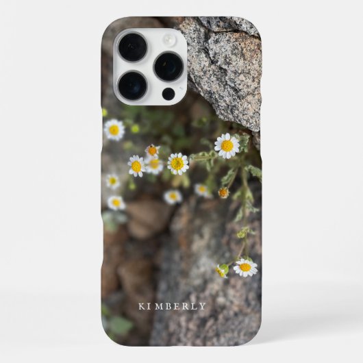 Daisy Wildblumen in Rocks Custom iPhone Case Hülle (Rückseite)