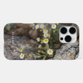 Daisy Wildblumen in Rocks Custom iPhone Case Hülle (Rückseite (Horizontal))