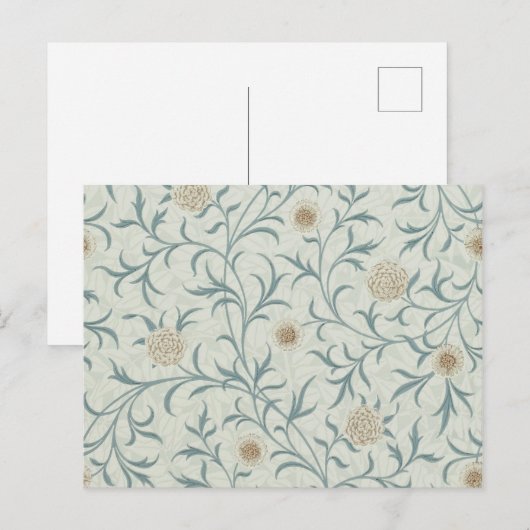 Daisy, William Morris Postkarte (Vorne/Hinten)