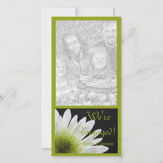 Daisy zur Ankündigung der Verlobung der Heirat (Vorderseite)