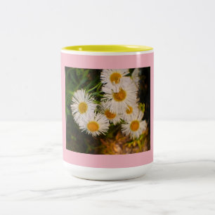 Daisy Zweifarbige Tasse