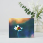 Daisybug Postkarte (Stehend Vorderseite)