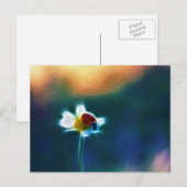 Daisybug Postkarte (Vorne/Hinten)