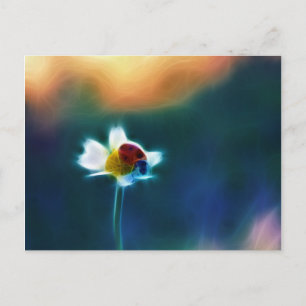 Daisybug Postkarte