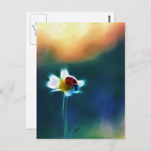 Daisybug Postkarte (Vorne/Hinten)