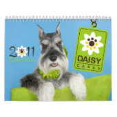 DaisyCares Kalender 2011 (Titelbild)
