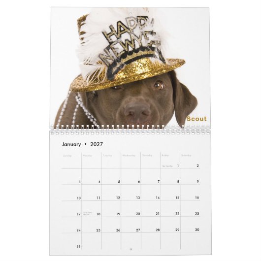 DaisyCares Kalender 2011 (Jan 2027)