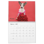 DaisyCares Kalender 2011 (Feb 2027)