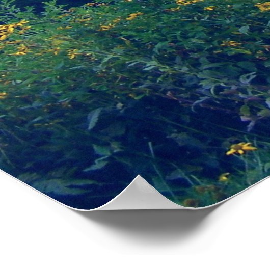 DaisyField Poster (Ecke)