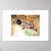 Daizzzzzy Poster (Vorne)