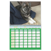 Dakota, Ding u. Freunde! Kalender (Mär 2027)