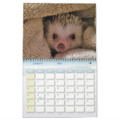 Dakota, Ding u. Freunde! Kalender (Jan 2027)