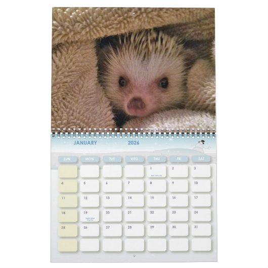 Dakota, Ding u. Freunde! Kalender (Jan 2026)