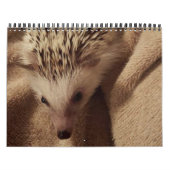 Dakota, Ding u. Freunde! Kalender (Titelbild)