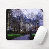 Dakota-Farbe Mousepad (Mit Mouse)