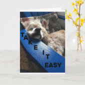 DAKOTA SAGT: "NIMM ES LEICHT, DU BIST 40" KARTE (Gelbe Blume)