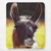 Dalai an der LLAMA Fun Animal Mousepad (Vorne)