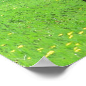 Dales Pony Poster (Ecke)