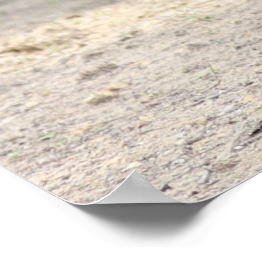 Dales Pony Poster (Ecke)