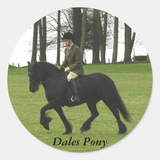 Dales Pony Sticker (Vorderseite)